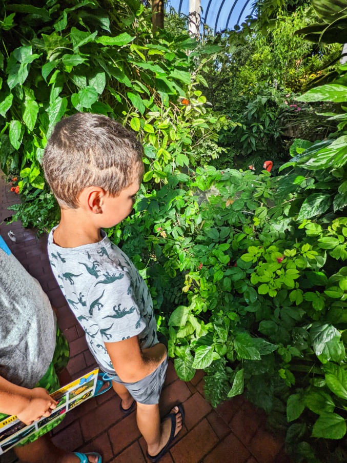 Taylor Family with Flamingos at Key West Butterfly and Nature Conservatory Florida Keys 1