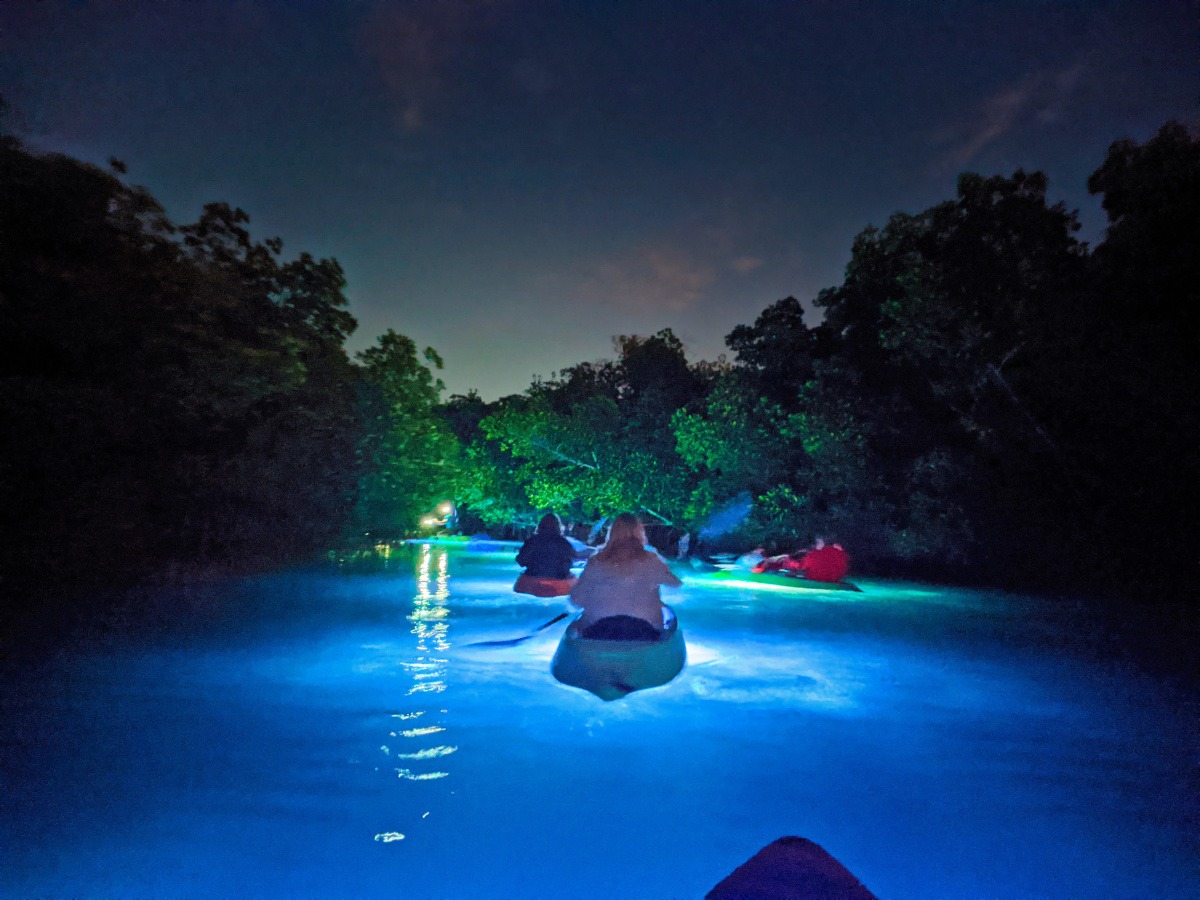 Beautiful Wildlife Experience Night Kayaking in Key West