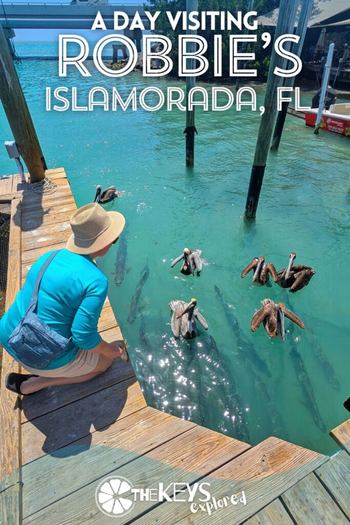 Robbie's of Islamorada is famous for its tarpon feeding, but there's a lot more to visiting. See what you can do and see at Robbie's, including tips about what's best on the menu at the Hungry Tarpon restaurant.