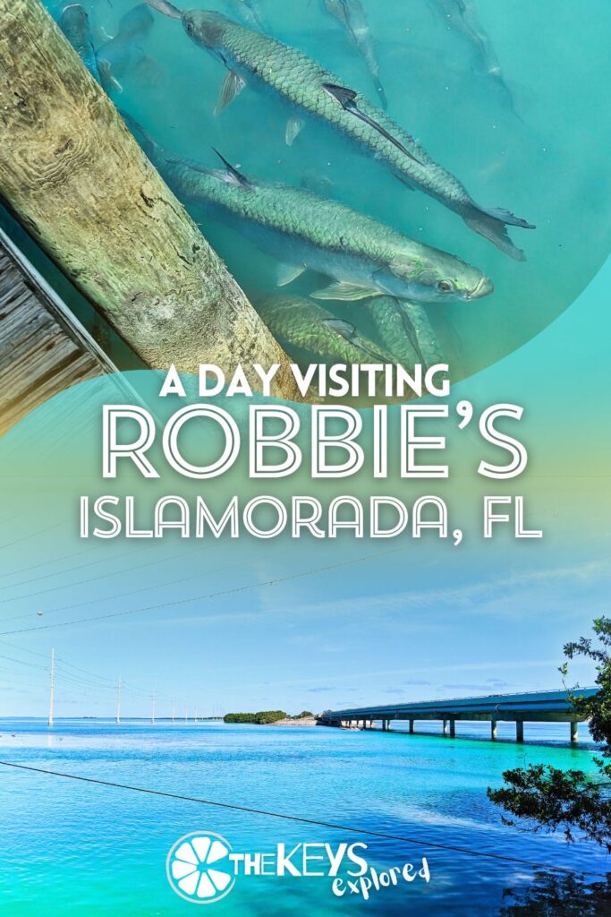Robbie's of Islamorada is famous for its tarpon feeding, but there's a lot more to visiting. See what you can do and see at Robbie's, including tips about what's best on the menu at the Hungry Tarpon restaurant.