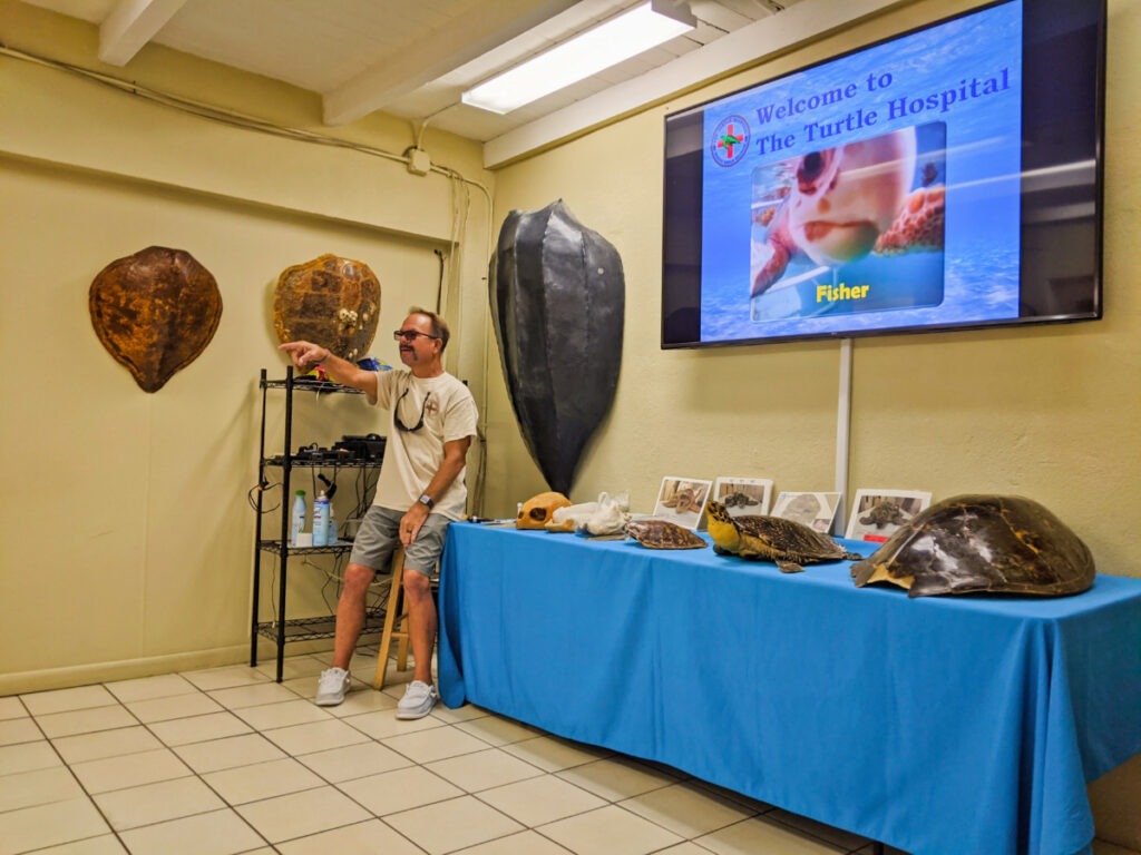 Demonstration at Turtle Hospital Marathon Florida Keys 2020 2