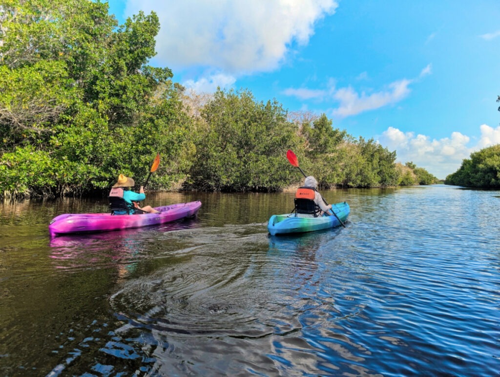 Kayaking Buttonwood Canal at Flamingo Everglades National Park Florida 4