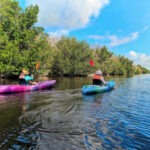 Kayaking Buttonwood Canal at Flamingo Everglades National Park Florida 4