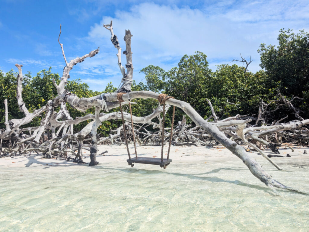 Photo swing in Backwaters during Sandbar Charter with Lazy Dog Adventures Key West Florida Keys 1