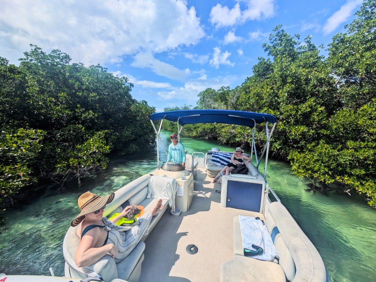 Lazy Dog Adventures Sandbar Charter w/ Paddling in Beautiful Key West