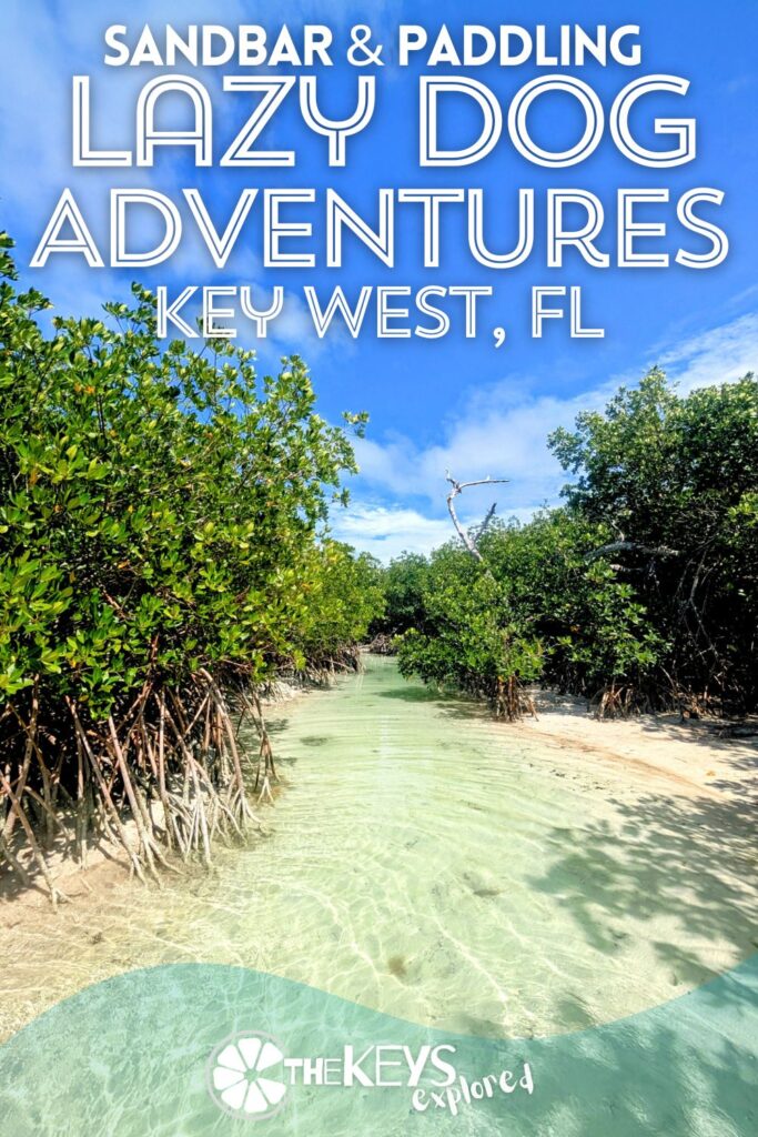 The sandbar charter with Lazy Dog Adventures in Key West is a great way to enjoy a day on the water paddling, snorkeling and having an experience tailored to your group. See why a charter is a good budget option and what to expect exploring the backwaters of Key West with Lazy Dog Adventures.