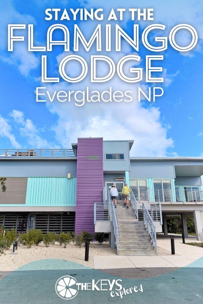 The Flamingo Lodge in Everglades National Park is the ONLY hotel in the park. We've got the full scoop on rooms at the NEW lodge, the restaurant, things to do at Flamingo and more.