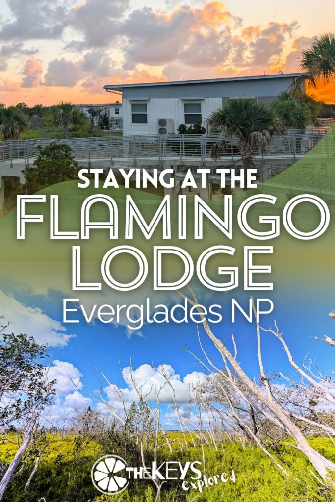The Flamingo Lodge in Everglades National Park is the ONLY hotel in the park. We've got the full scoop on rooms at the NEW lodge, the restaurant, things to do at Flamingo and more.