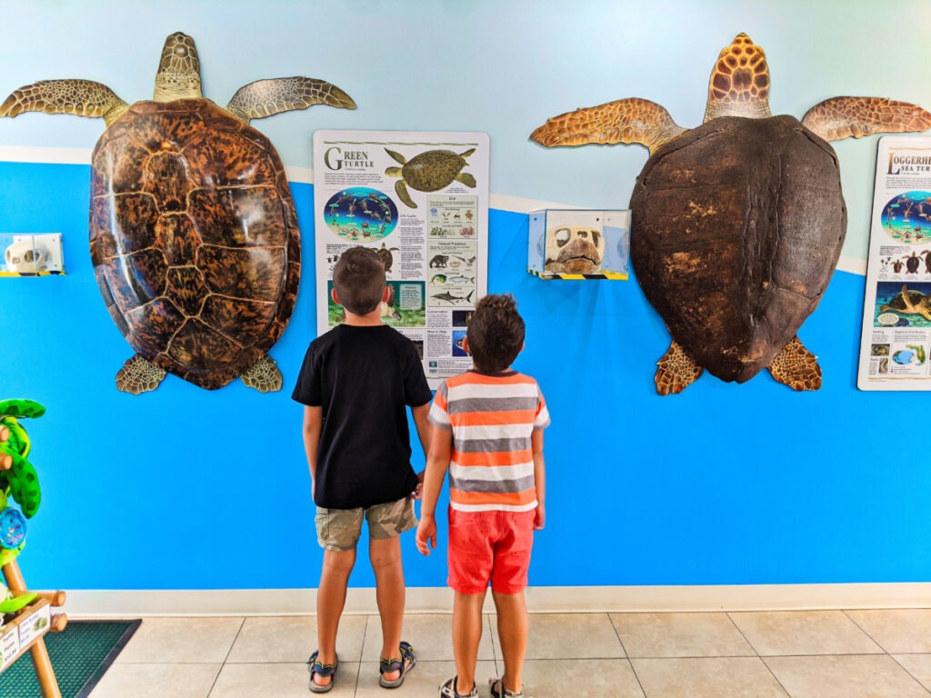 Taylor Family at Turtle Hospital Marathon Florida Keys 2020 1