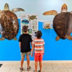 Taylor Family at Turtle Hospital Marathon Florida Keys 2020 1