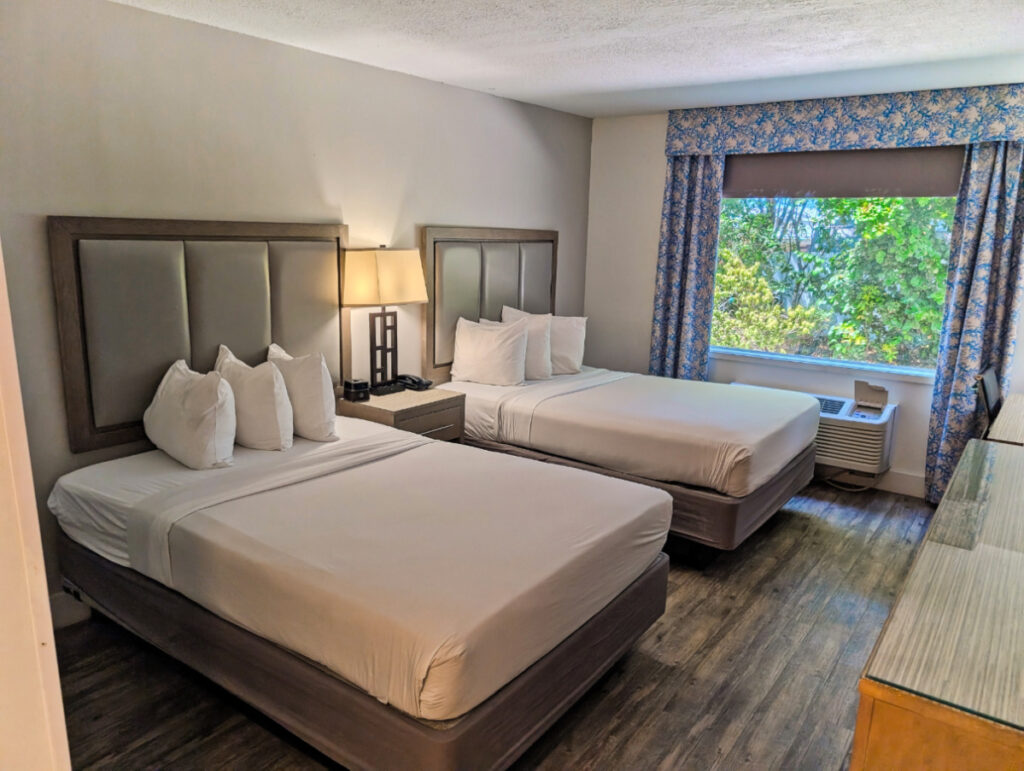 Two Queen Room at Bayside Inn Key Largo Florida Keys 1