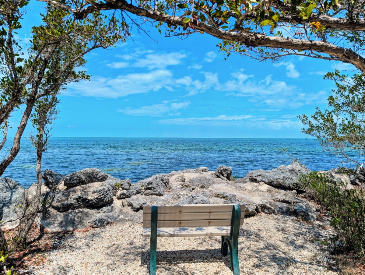 Crane Point Hammock: Marathon’s Hidden Gem with Natural Fish Pedicures