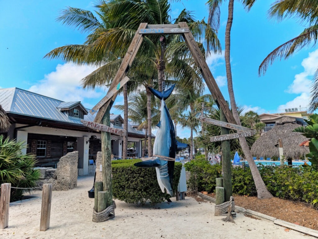 Hanging Shark at Skippers Dockside Restaurant Key Largo Florida Keys 1