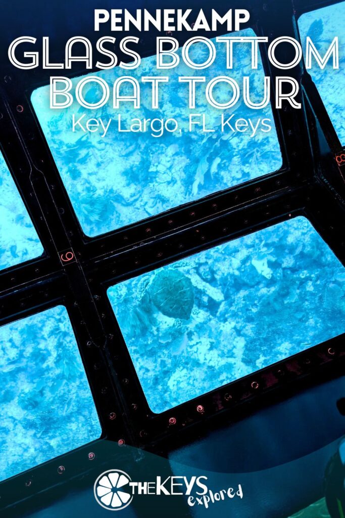 The glass bottom boat tour in John Pennkamp Coral Reef State Park is the most popular activity on Key Largo. See what to expect and what makes this unique tour worth your time in the Florida Keys.