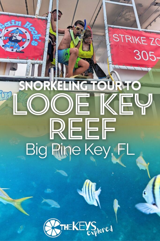 Snorkeling Looe Key Reef with Captain Hook's from Big Pine Key is one of the more unusual wildlife tours you can plan in the Lower Keys. See what makes Looe Key Reef special and our tips for having a great experience out on the water.