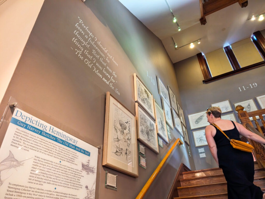 Guy Harvey Sketches of Old Man and the Sea at Key West Museum of Art and History at the Customs House Florida Keys 2