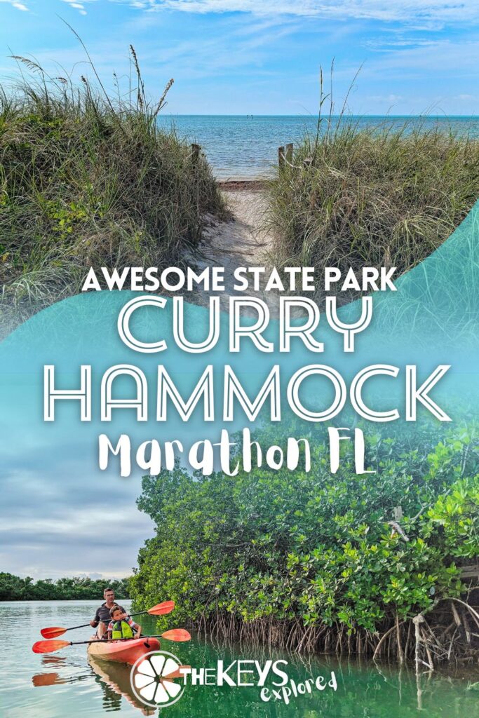 Curry Hammock State Park is an overlooked gem on Marathon, perfect for kayaking, camping or just having a beach day. See what you'll find and even our favorite paddling routes here at Curry Hammock State Park in the Middle Keys!