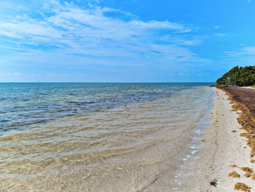 Beach at Curry Hammock State Park Fat Duck Key Marathon Florida Keys 1