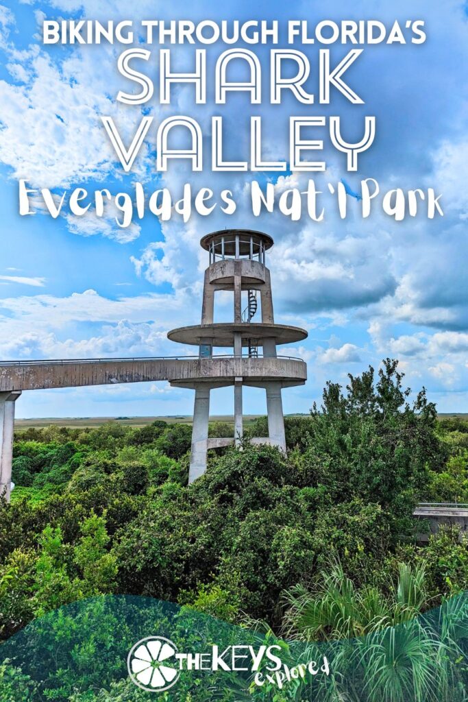Biking in Everglades National Park at Shark Valley is a wonderful and unique way to experience the park. Located near Miami this fun adventure gets you out into the harsh environment into the heart of the Everglade most beautiful wildlife.