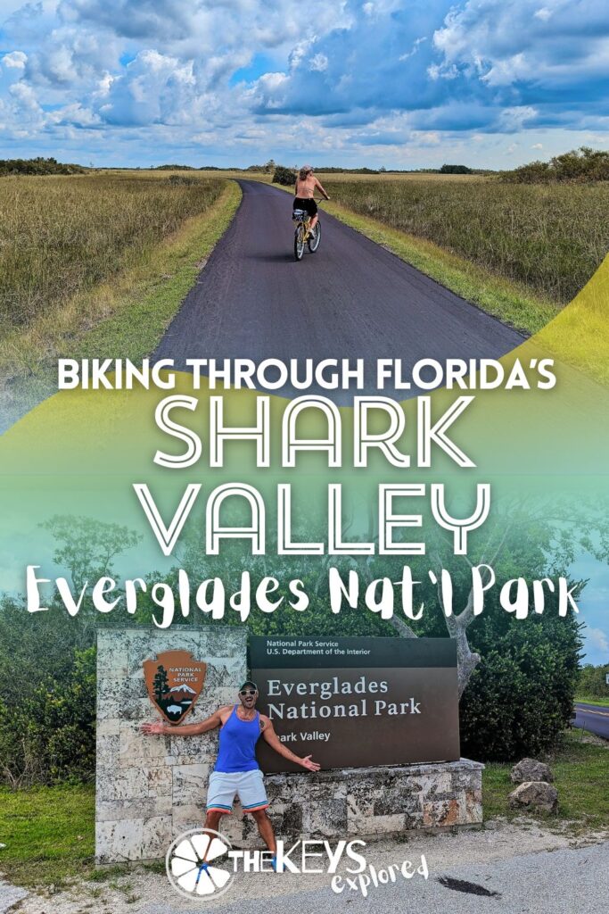 Biking in Everglades National Park at Shark Valley is a wonderful and unique way to experience the park. Located near Miami this fun adventure gets you out into the harsh environment into the heart of the Everglade most beautiful wildlife.