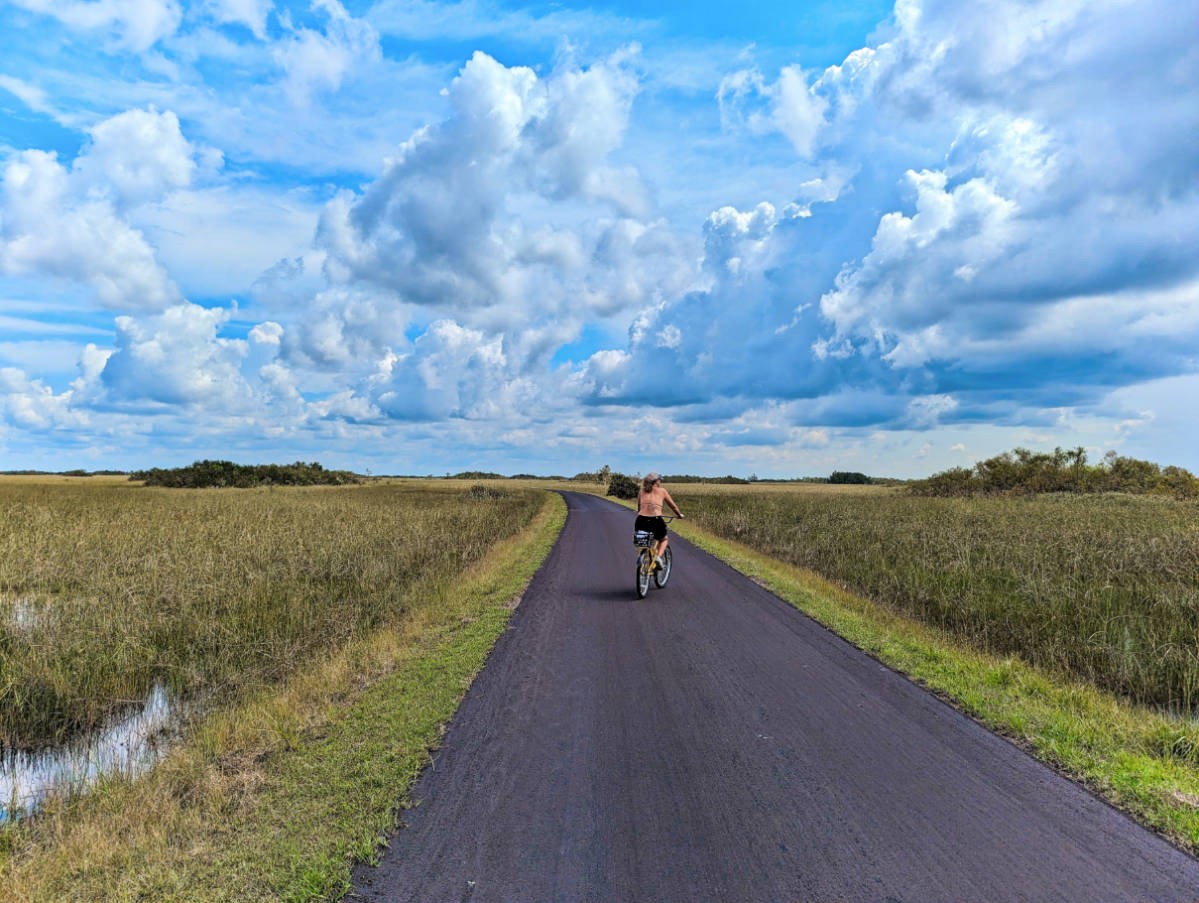 Biking in Everglades National Park: Exploring the Beautiful Shark Valley