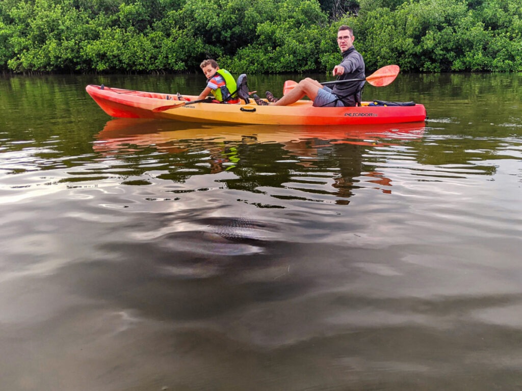 Taylor Family Kayaking with Spotted Eagle Ray at Curry Hammock State Park Fat Duck Key Marathon Florida Keys 2020 5