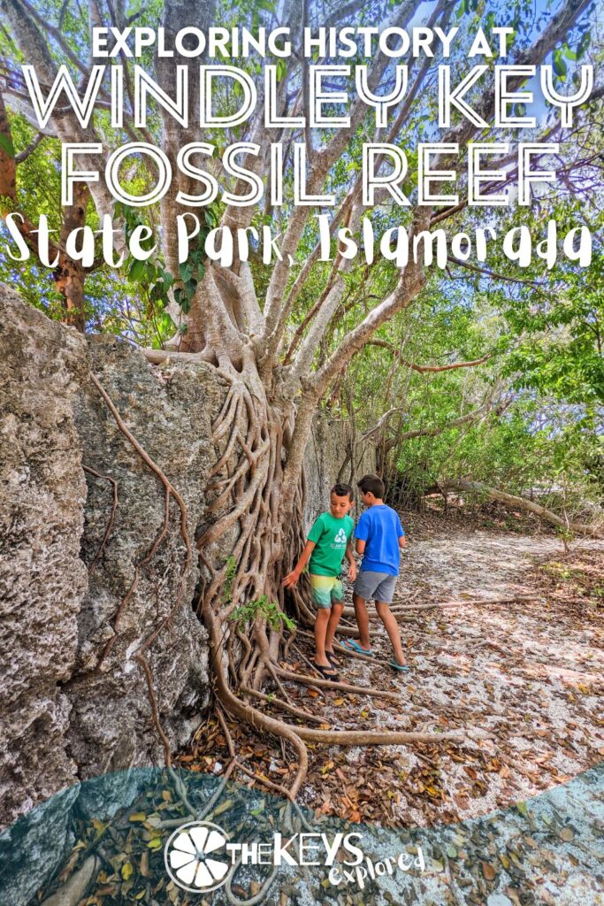 Windley Key Fossil Reef State Park is one of the most unusual historic spots to visit in the Florida Keys. Located in Islamorada, Windley Key SP is full of cool quarry pits, history exhibits and even beautiful birds. See what you'll find here in this easily overlooked State Park.