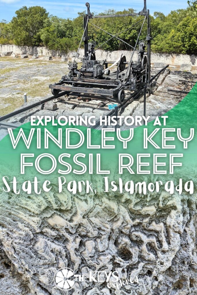 Windley Key Fossil Reef State Park is one of the most unusual historic spots to visit in the Florida Keys. Located in Islamorada, Windley Key SP is full of cool quarry pits, history exhibits and even beautiful birds. See what you'll find here in this easily overlooked State Park.