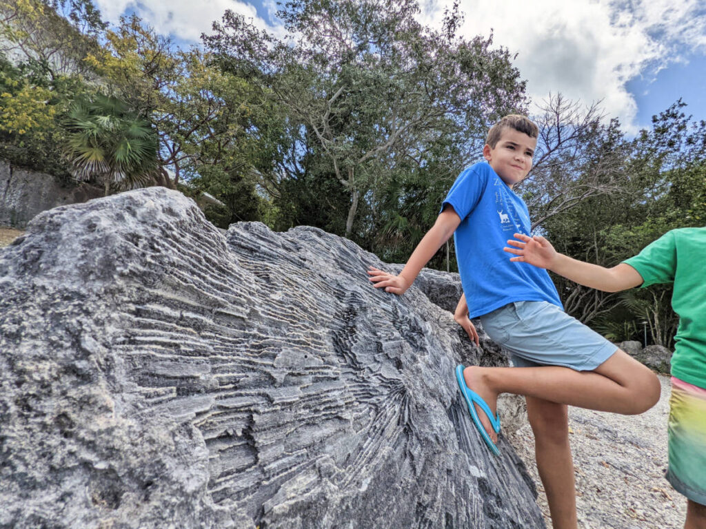 Taylor Family with fossilized coral at Windley Key Fossil Reef State Park Islamorada Florida Keys 1