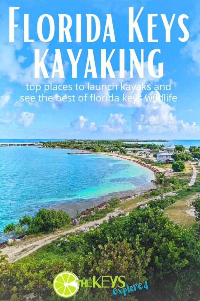 The best places to kayak in the Florida Keys range from Key West to the backcountry of the smaller keys. Kayaking routes and guided tours in the Florida Keys to make a road trip on the Overseas Highway even better.