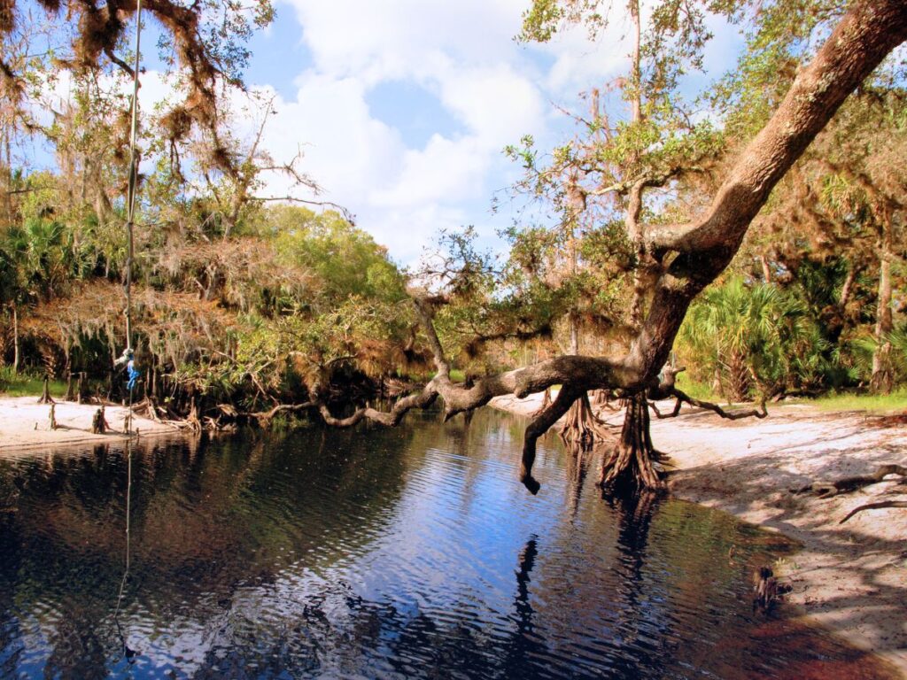 Fisheating Creek in Palmdale Florida 1