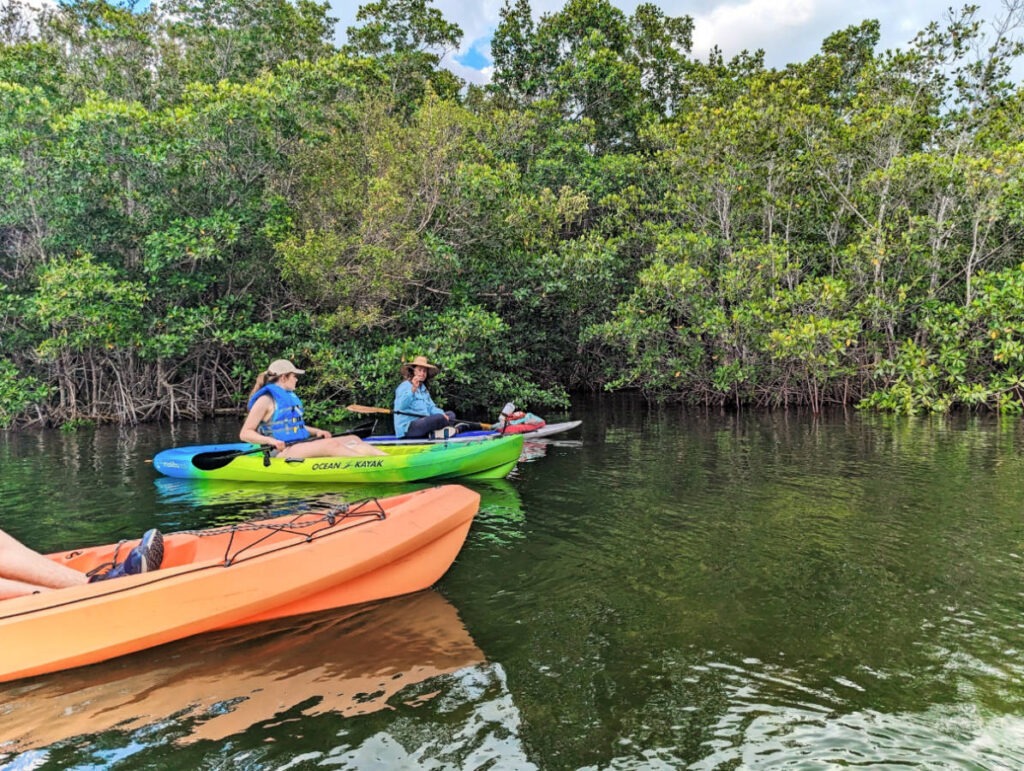 Guided Kayaking Tour in Biscayne National Park Miami Florida 1