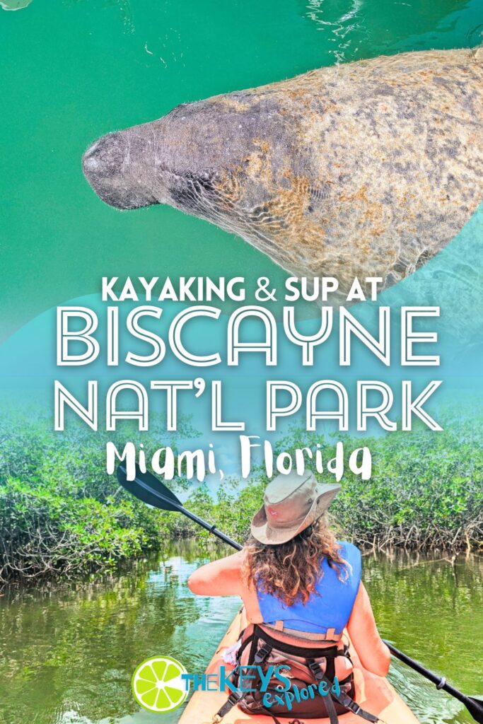 Kayaking in Biscayne National Park is one of the best ways to enjoy the wildlife and scenery here. Whether you've brought your own gear or if you're a part of a kayak tour from the Biscayne Institute, it's worth adding this to your trip to the Florida Keys.