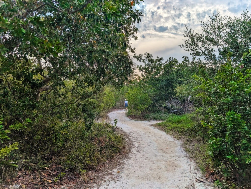 Walking the Golden Orb Nature Trail at Long Key State Park Middle Keys Florida Keys 1