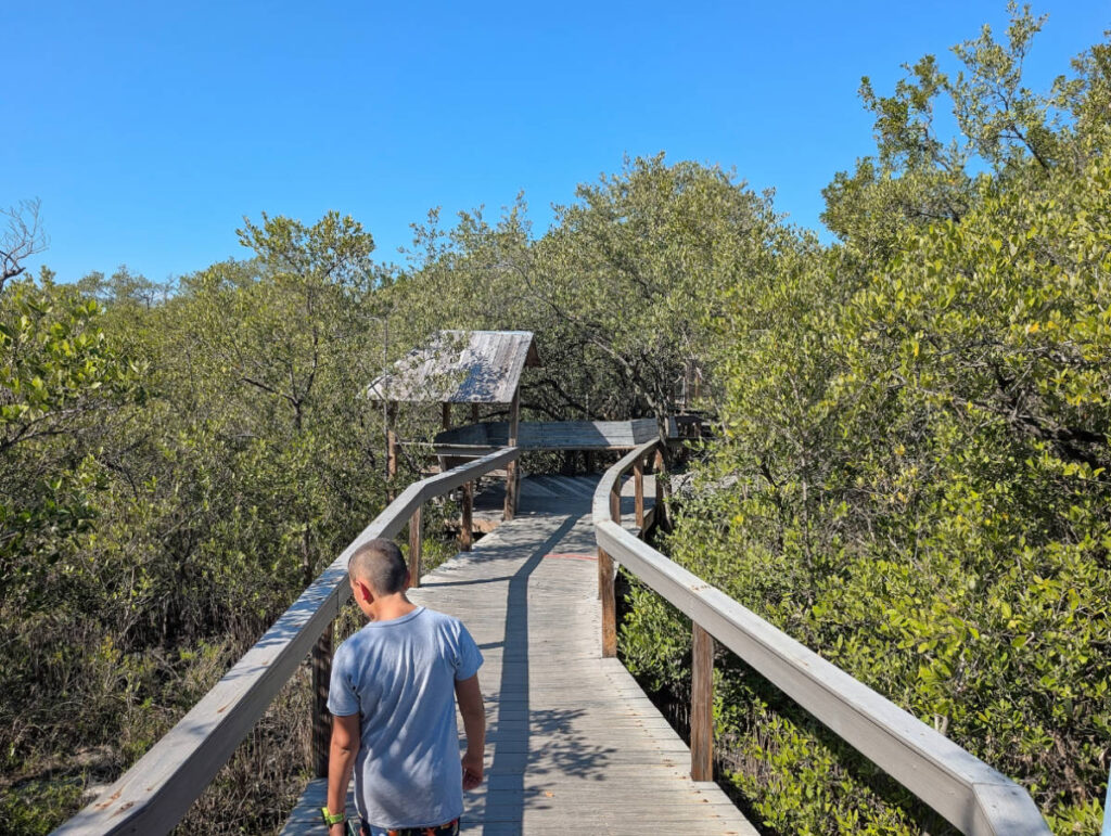 Taylor Family at Florida Keys Wild Bird Center Laura Quinn Wild Bird Sanctuary Key Largo Florida Keys 3