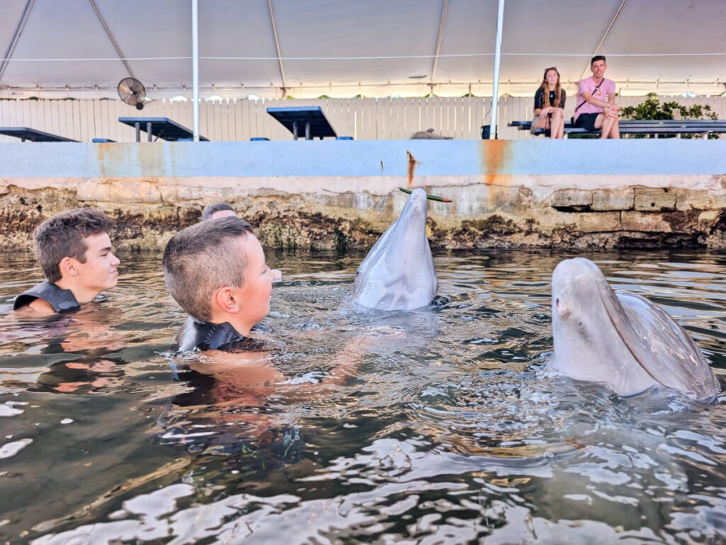 Taylor Family doing Dolphin Swim at Dolphin Life Key Largo Florida Keys 2