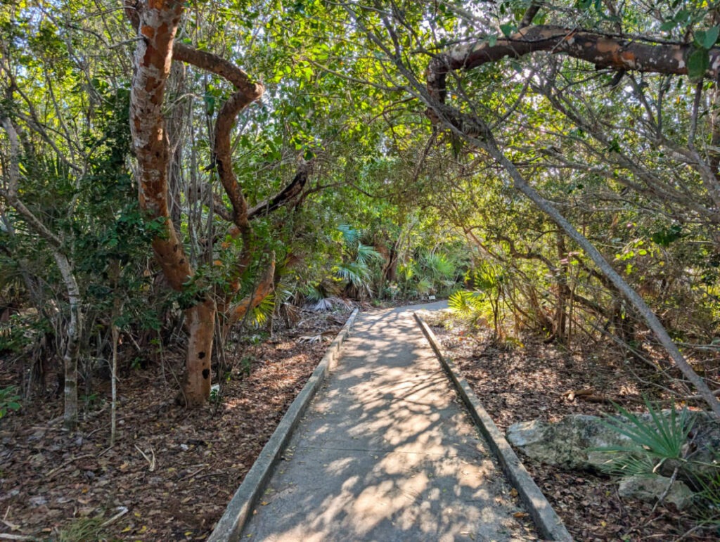 Walking Trail at Blue Hole Key Deer Refuge Big Pine Key Lower Florida Keys 1