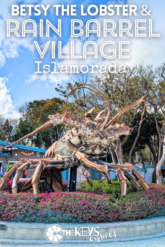 Have you met Betsy the Lobster on Islamorada? The most eye-catching roadside attraction in the Florida Keys, see what else you'll find here at Rain Barrel Village besides the giant spiny lobster, from galleries to dining, souvenirs and more. A great place to stop when you're driving the Overseas Highway through the Keys.