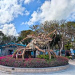Giant Keys Lobster at Rain Barrel Artist Village of Islamorada Florida Keys 1