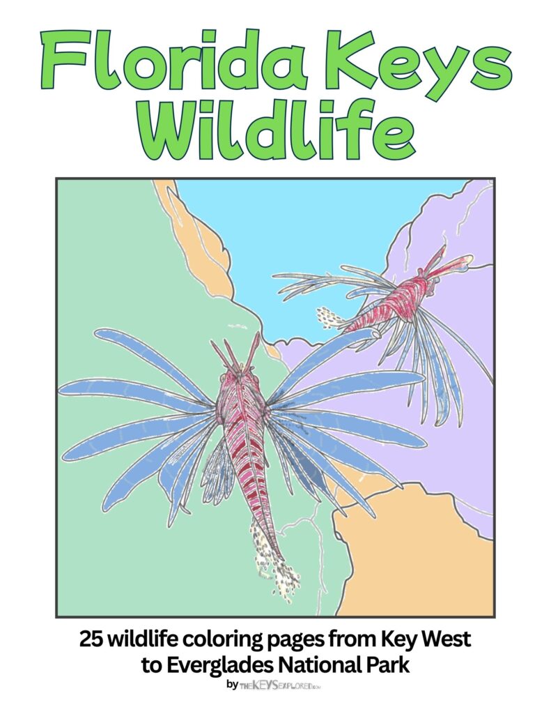 Florida Keys Wildlife Coloring Book (1)