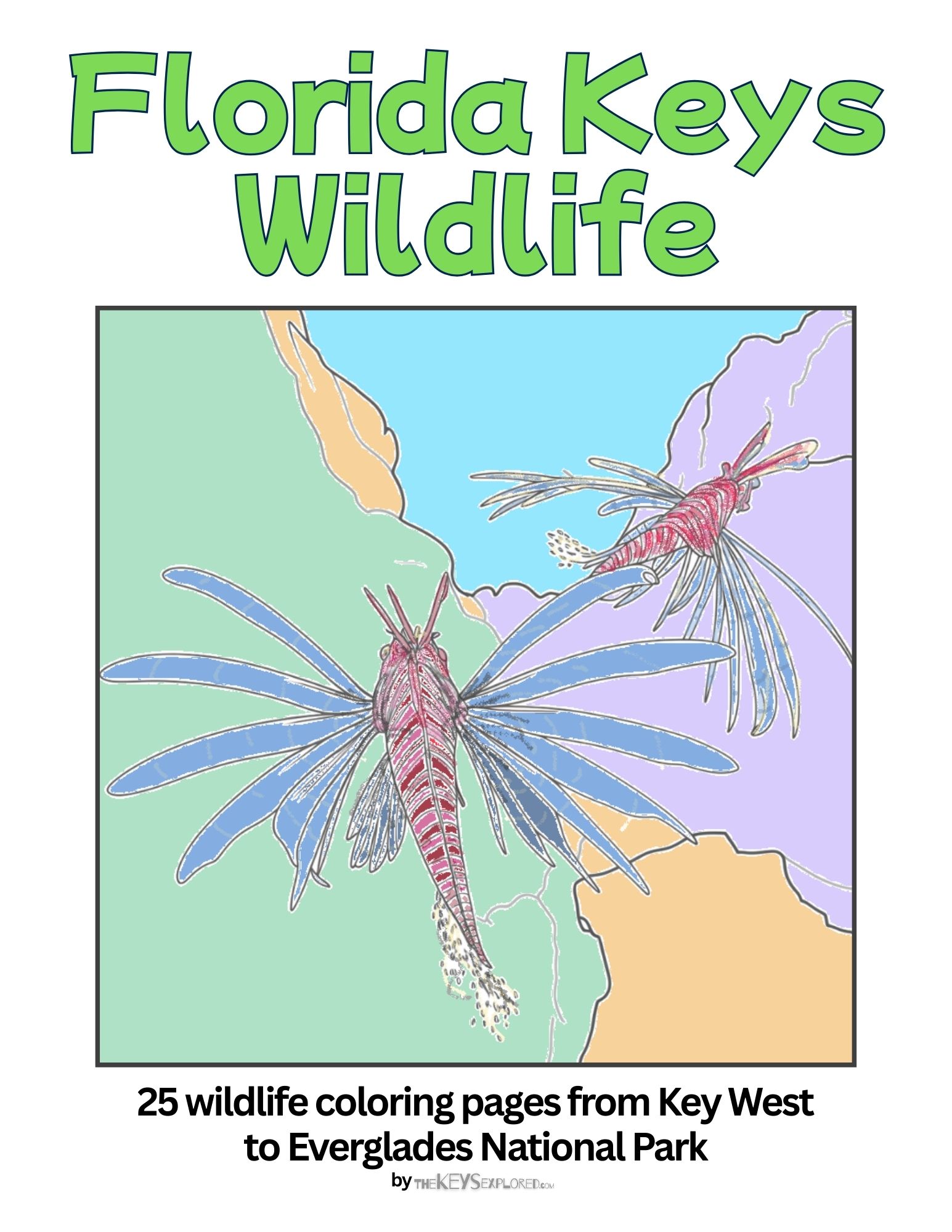 Florida Keys Wildlife Coloring Pages - The Keys Explored