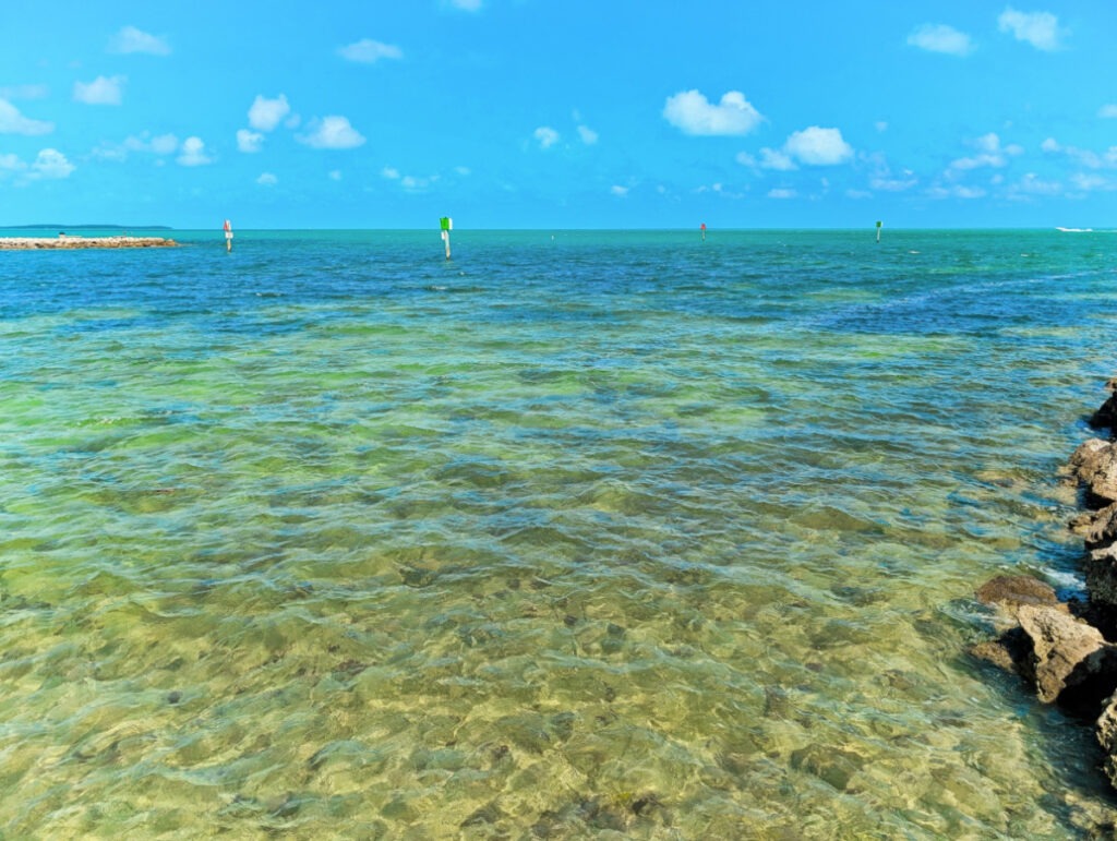 Swimming Area at Harry Harris Beach Park Key Largo Florida Keys 1