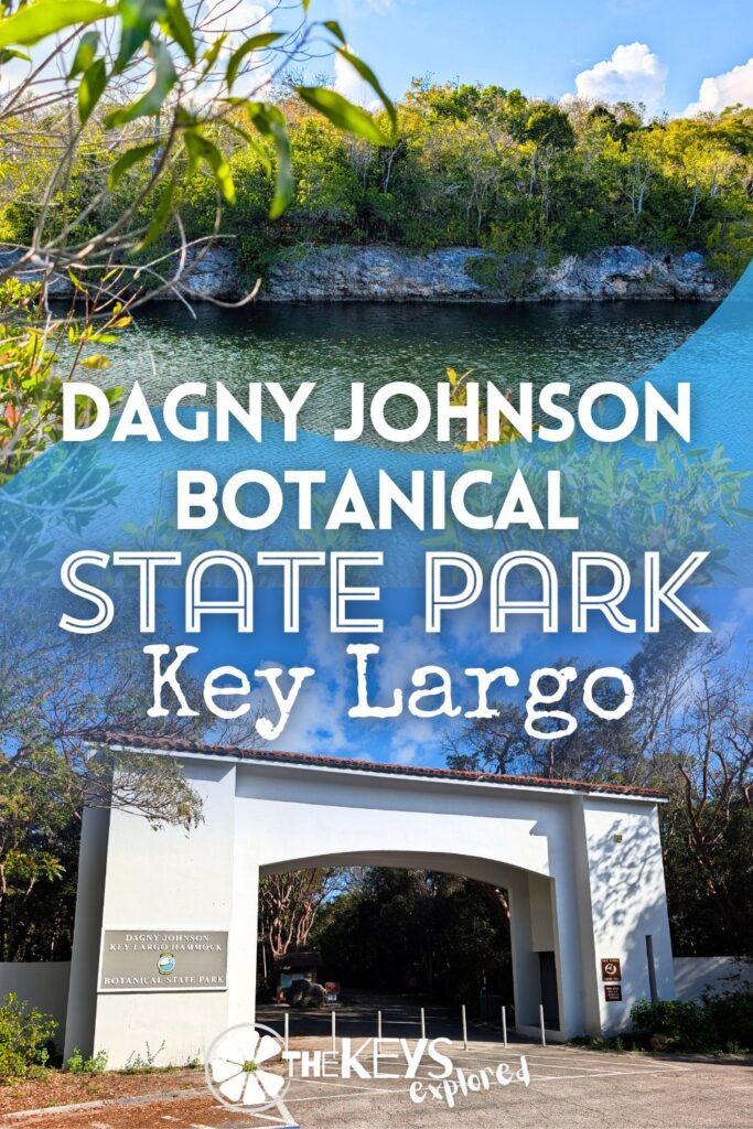 Easily overlooked, Dagny Johnson Key Largo Hammock Botanical State Park is a wonderful activity when you come to the Florida Keys. Visit Dagny Johnson State Park for hiking trails, wildlife watching and exploring the rare hardwood forest of Key Largo. Read all about it and save this idea for a windy day when you can't get on the water.