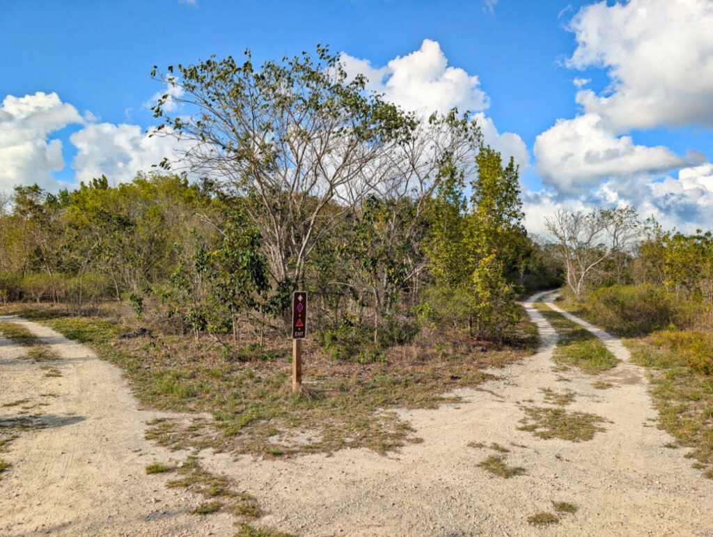 Walking trails at Dagny Johnson Key Largo Botanical State Park Key Largo Florida Keys 1