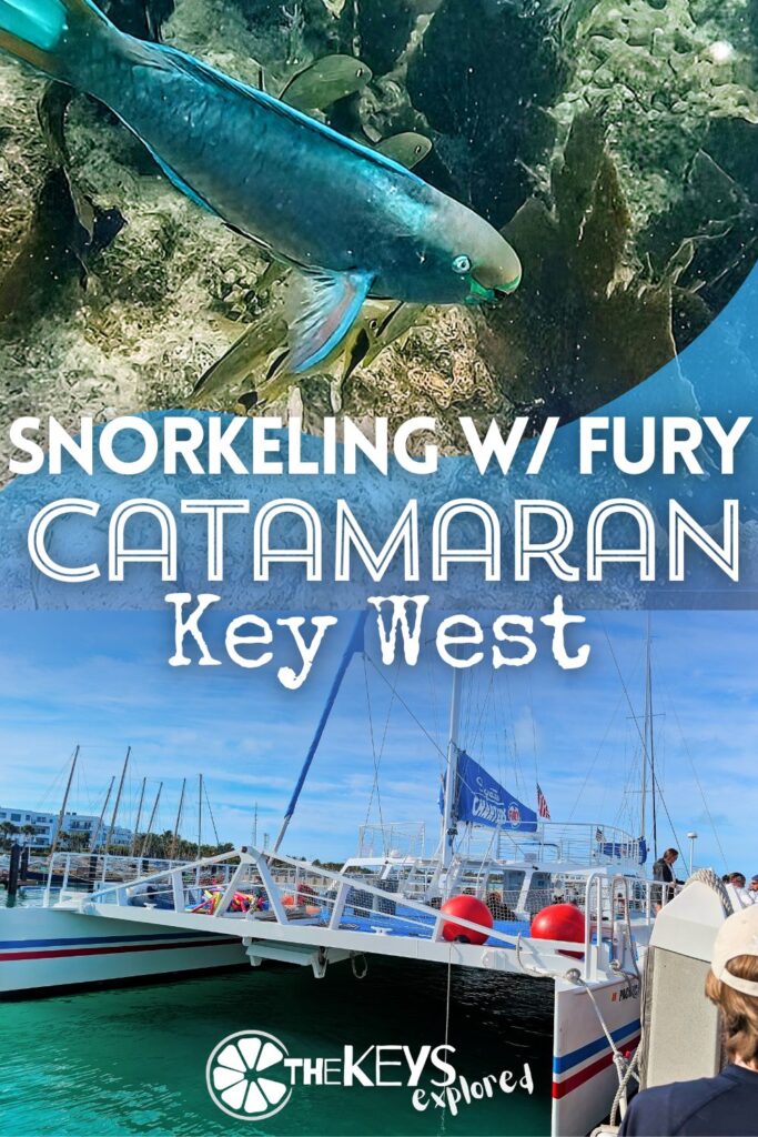 Catamaran snorkeling with Fury Key West is a great experience for an all-ages tour out to the reef. The Sip and Dip tour is a fun way to get out on the water to see wildlife and is great with every level of snorkeler. It's an ideal addition to a trip to Key West.