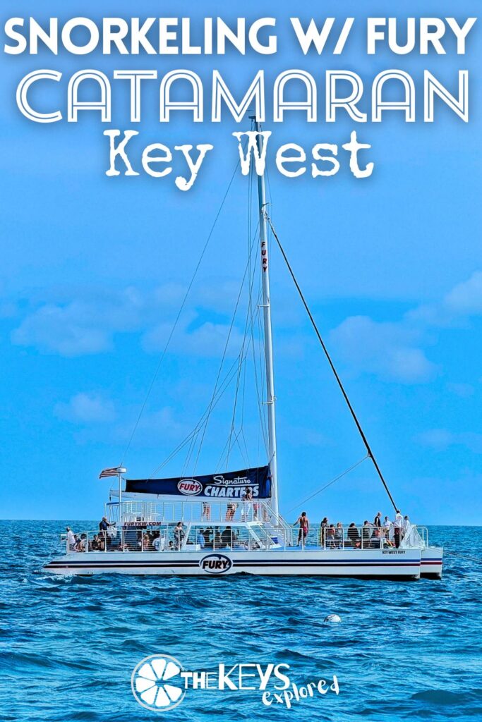 Catamaran snorkeling with Fury Key West is a great experience for an all-ages tour out to the reef. The Sip and Dip tour is a fun way to get out on the water to see wildlife and is great with every level of snorkeler. It's an ideal addition to a trip to Key West.