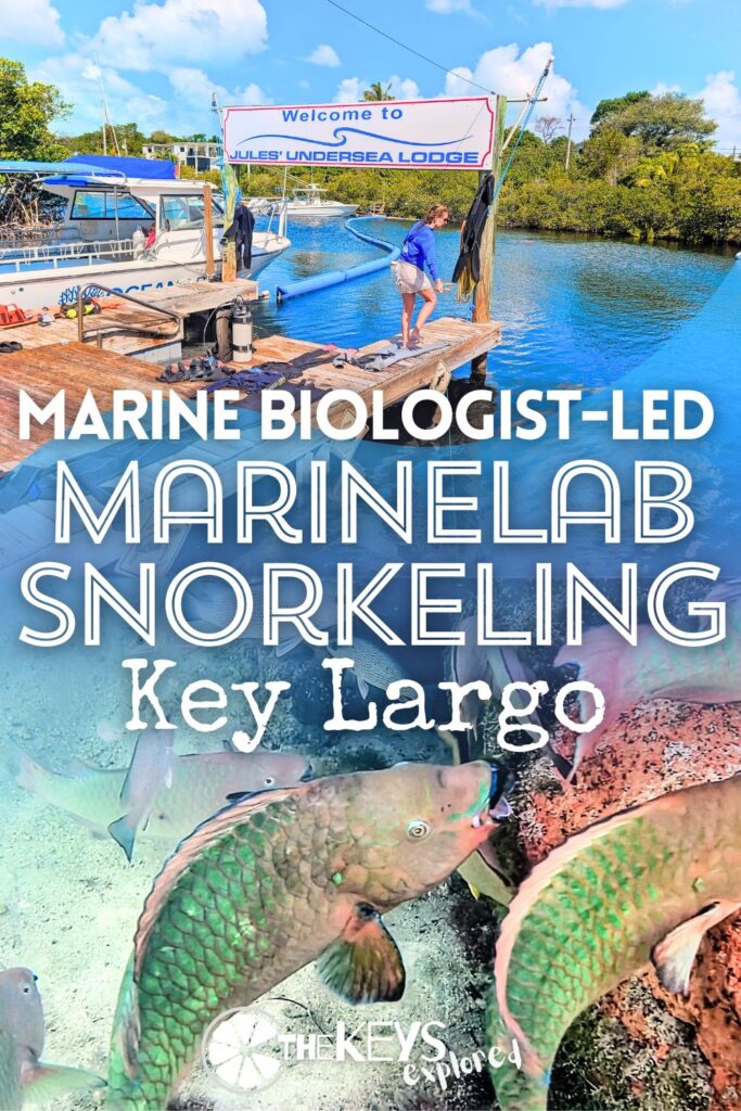 One of the most unique and interesting tours in the Florida Keys, snorkeling with a marine biologist at MarineLab in Key Largo needs to get onto your vacation itinerary. It's a great combination of exploring underwater and learning about everything you're actually seeing. Fantastic with kids or adults!