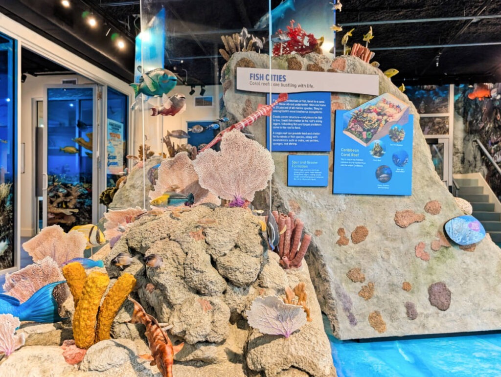 Coral Reef Exhibit at REEF Ocean Exploration Center Key Largo Florida Keys 1