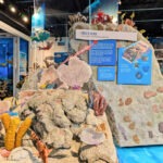 Coral Reef Exhibit at REEF Ocean Exploration Center Key Largo Florida Keys 1