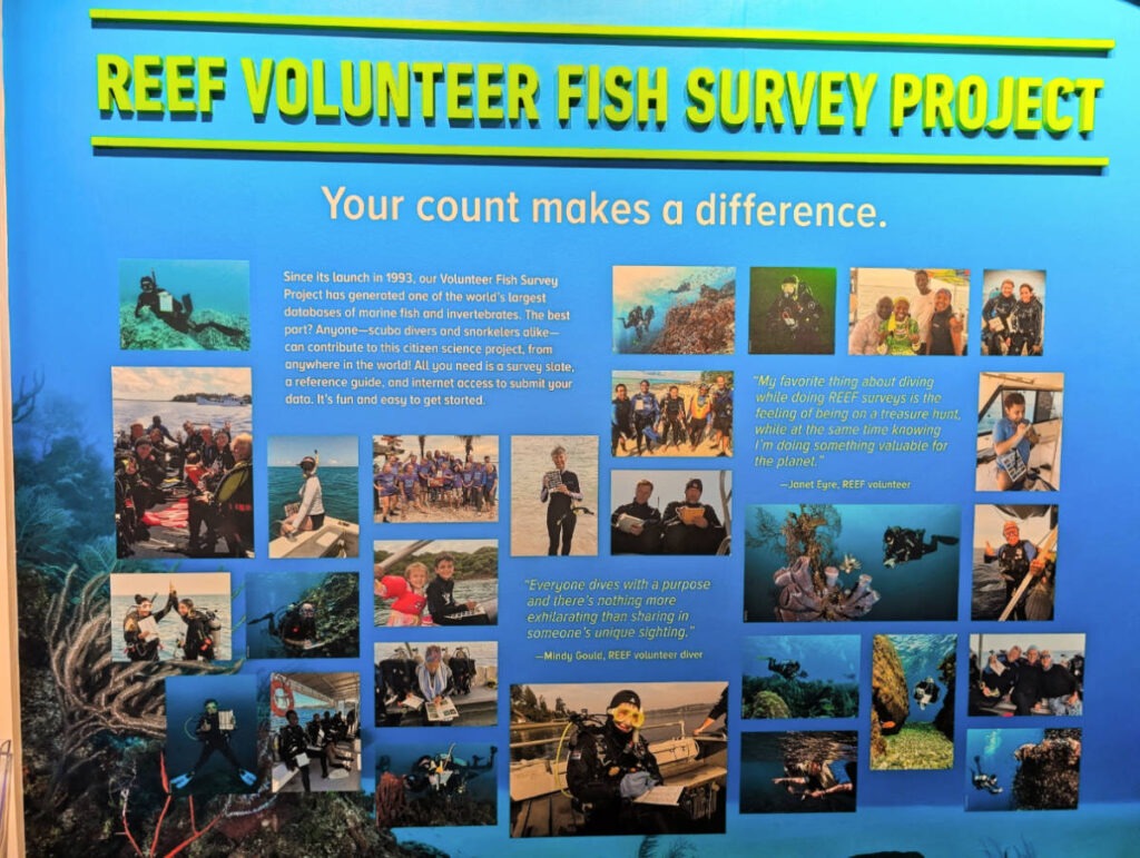 Fish Surveyor Exhibit at REEF Ocean Exploration Center Key Largo Florida Keys 2